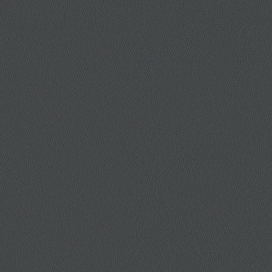 Detail image of Whip 010 Graphite
