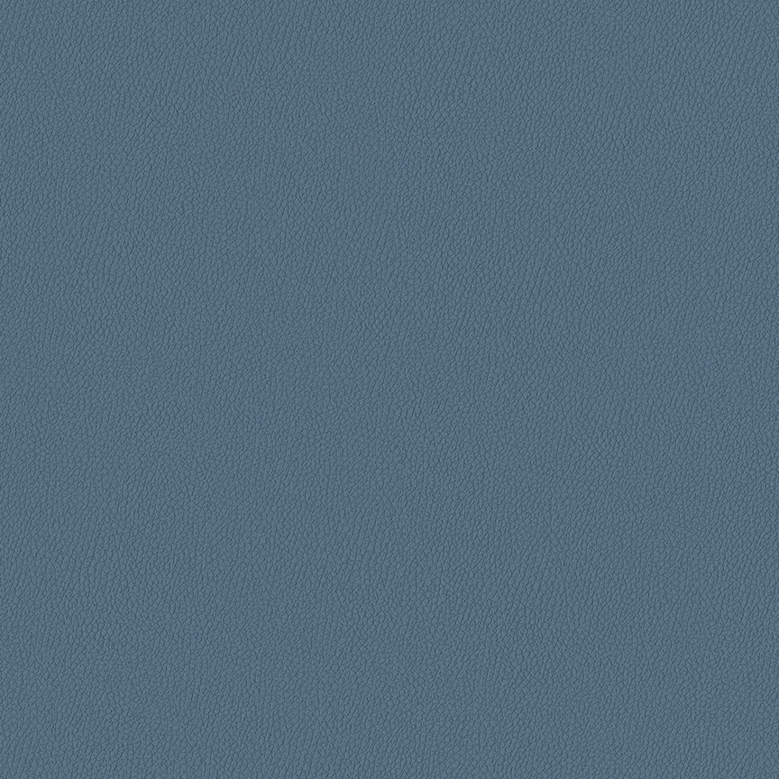 Detail image of Whip 018 Bluesky