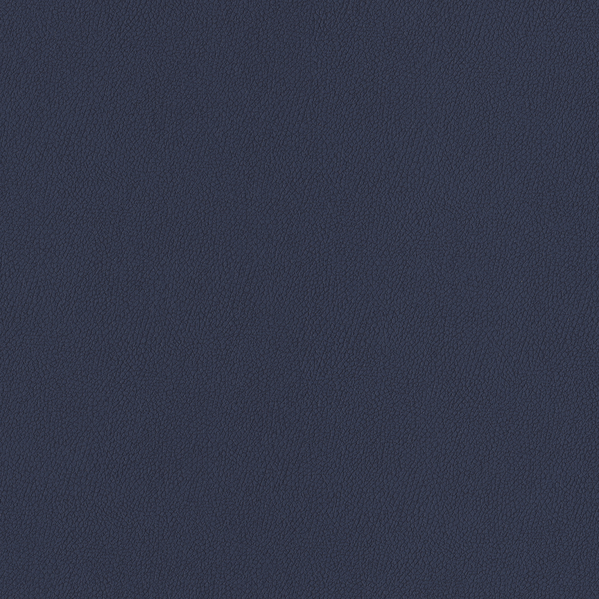 Detail image of Whip 019 Indigo