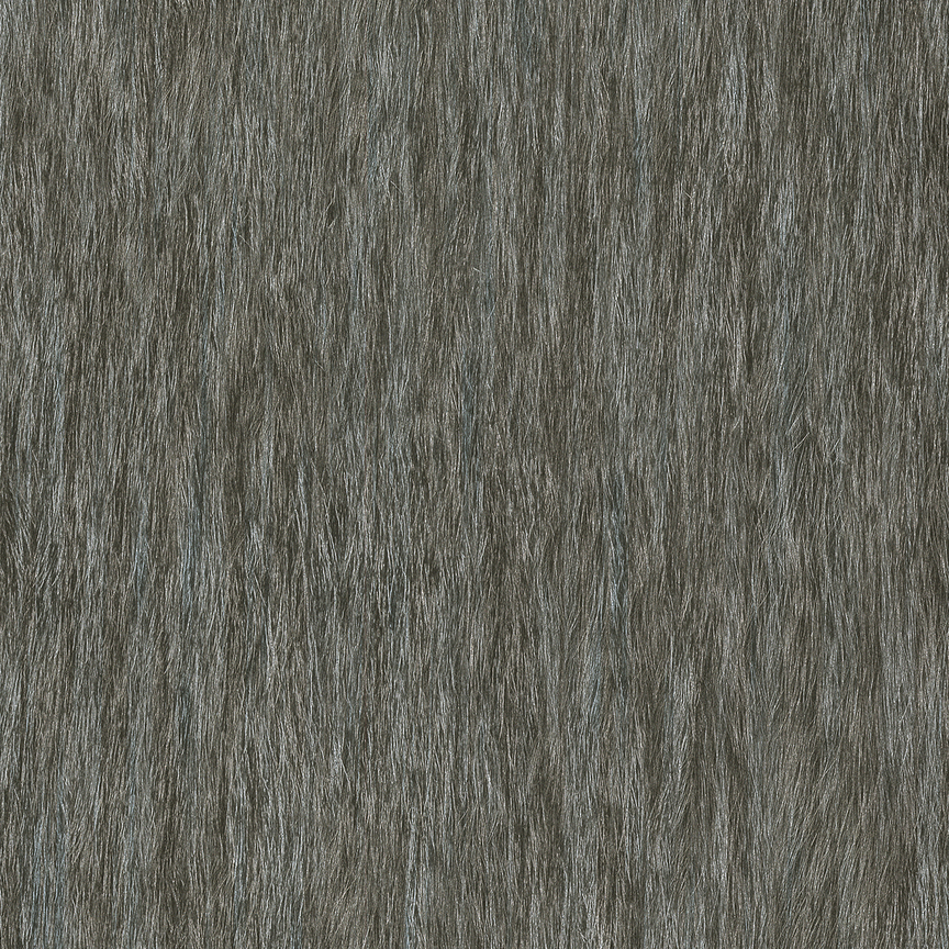 Detail image of Wire 004 Wolf
