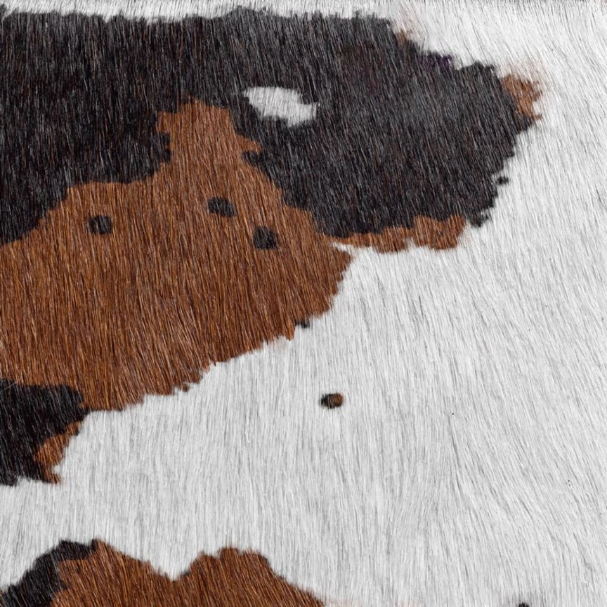 Detail image of Cavallini 030 Tri-Color