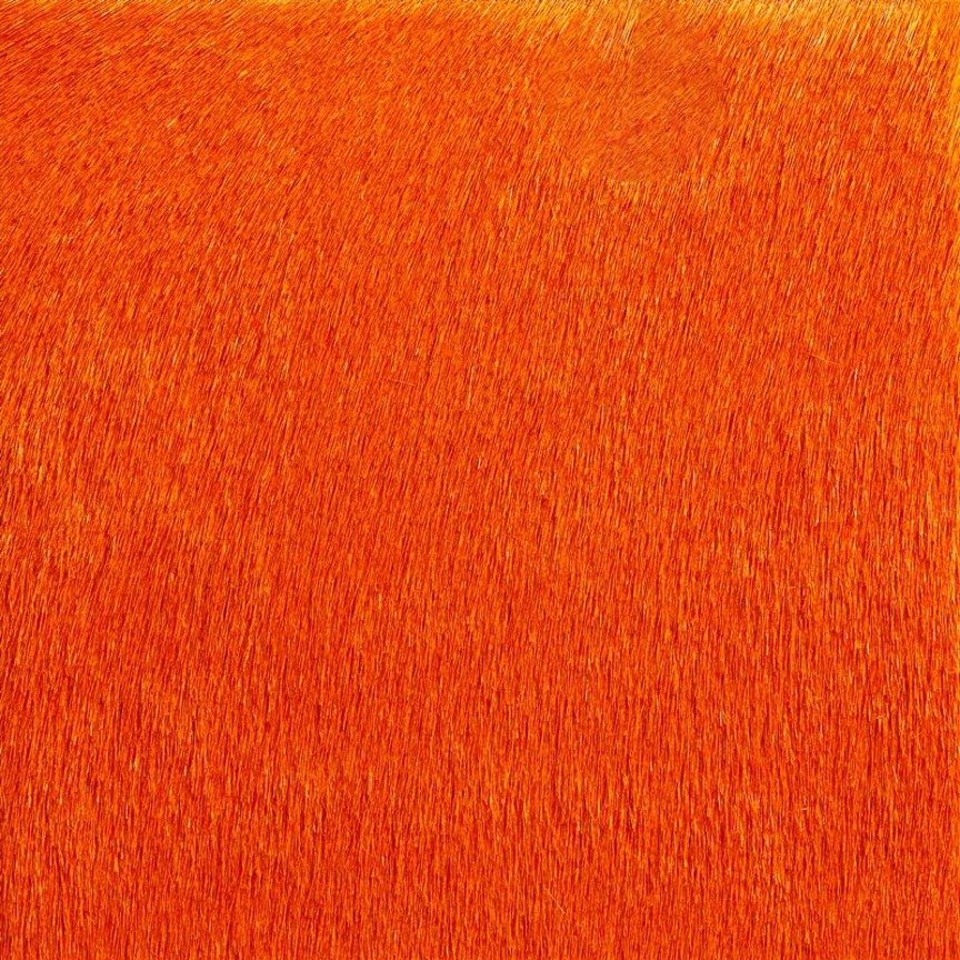 Detail image of Cavallini 043 Fiesta Orange