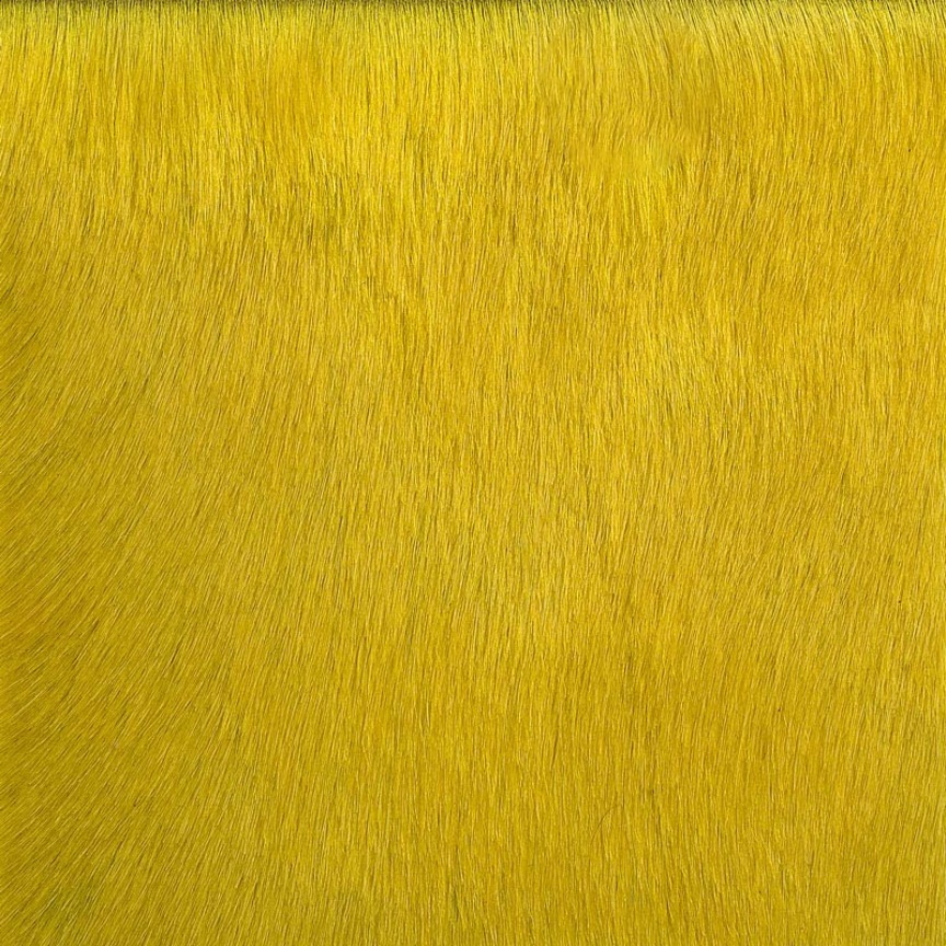 Detail image of Cavallini 049 Limoncello