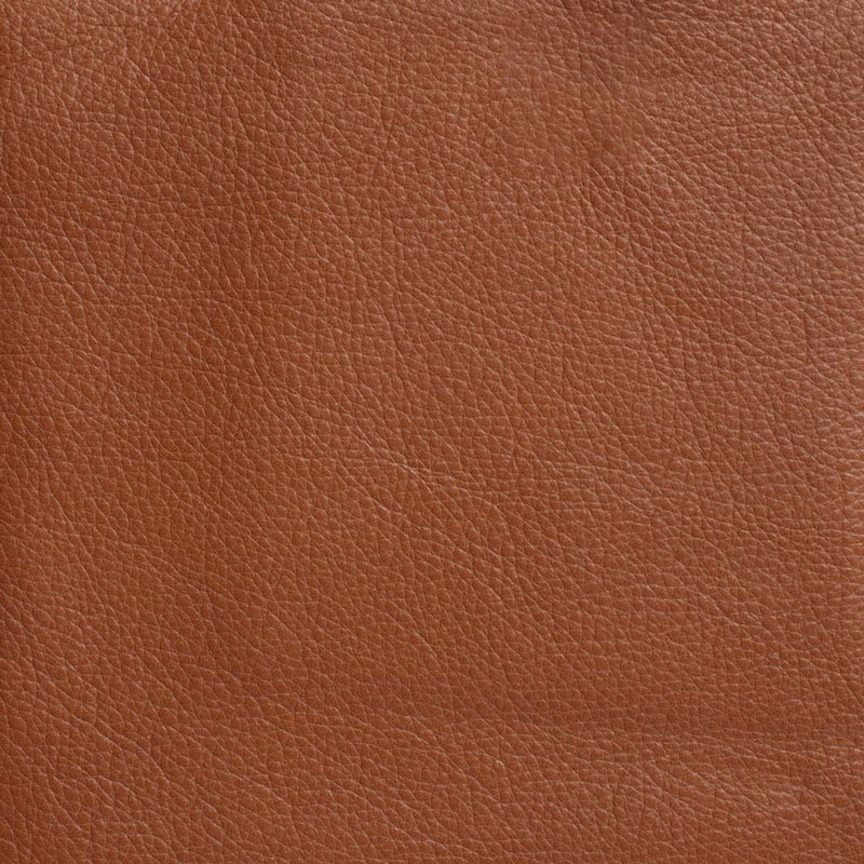 Detail image of Free Range 001 Taco