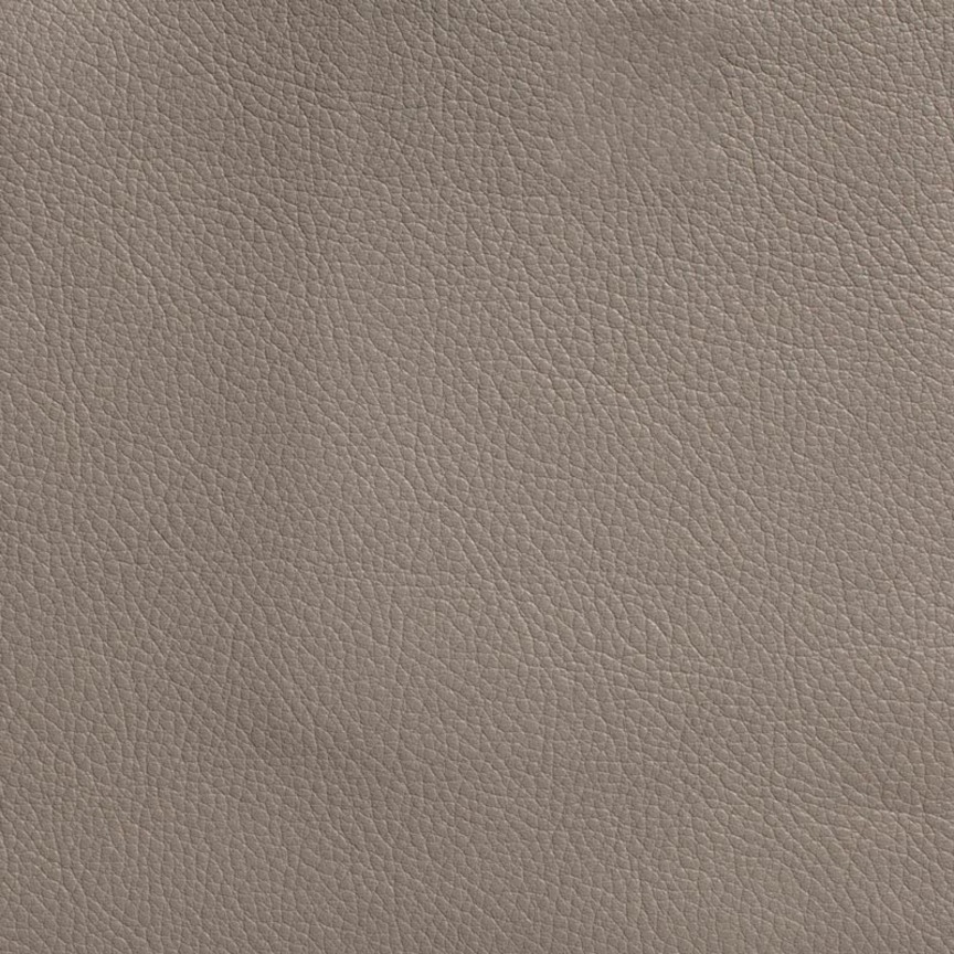 Detail image of Free Range 004 Thunder