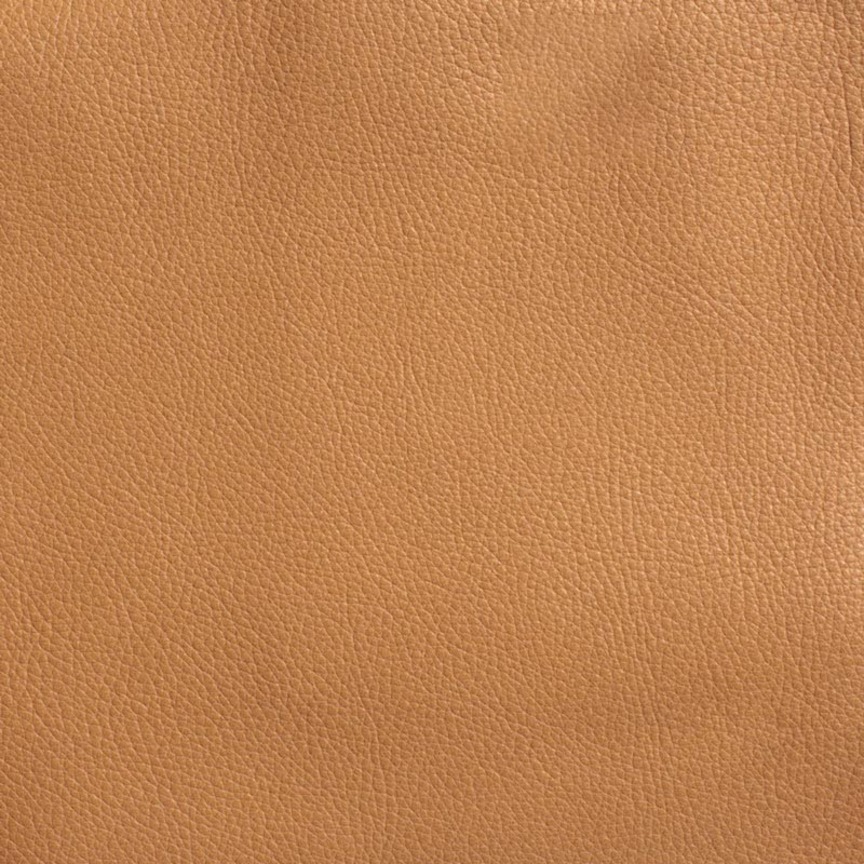 Detail image of Free Range 008 Corn