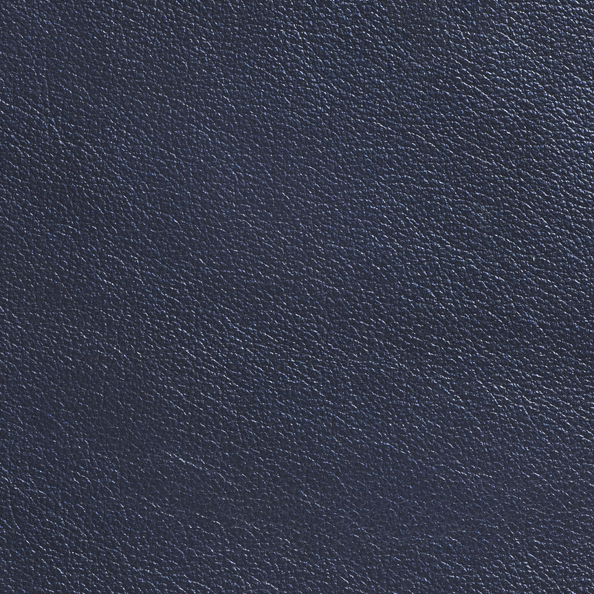 Detail image of Metallic Dream Cow 009 North Star