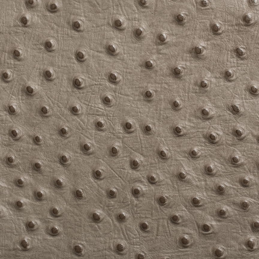 Detail image of Ostrich 041 Portobello