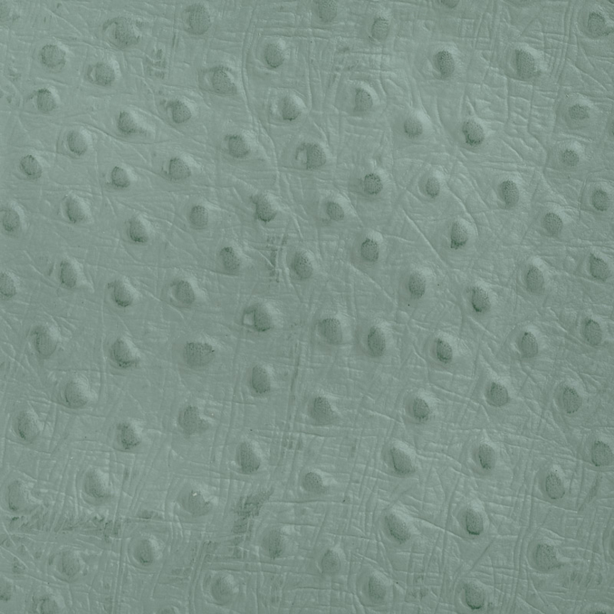 Detail image of Ostrich 048 Stormy Sea