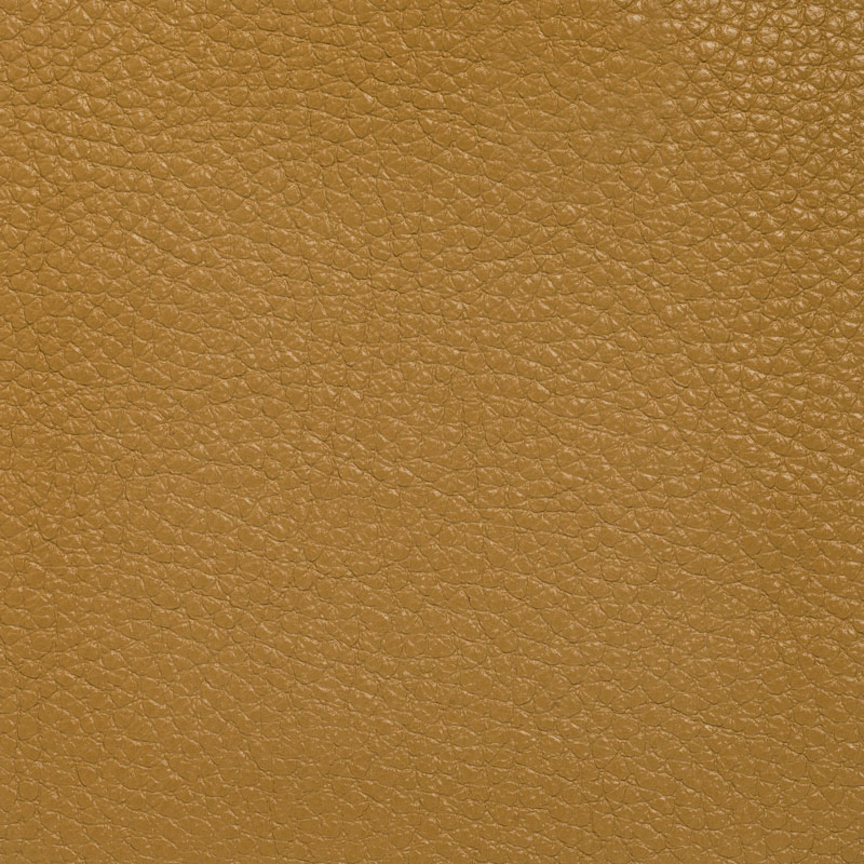 Detail image of Rambler 001 Turmeric
