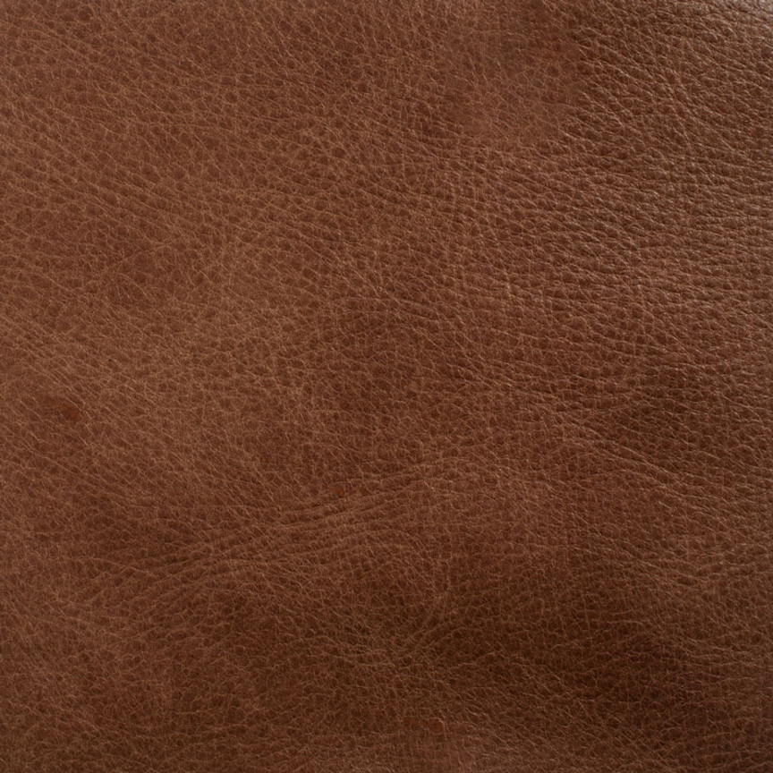 Detail image of Ranger 003 Forest Path