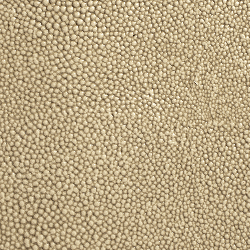 Detail image of Shagreen 030 Sha-Beige