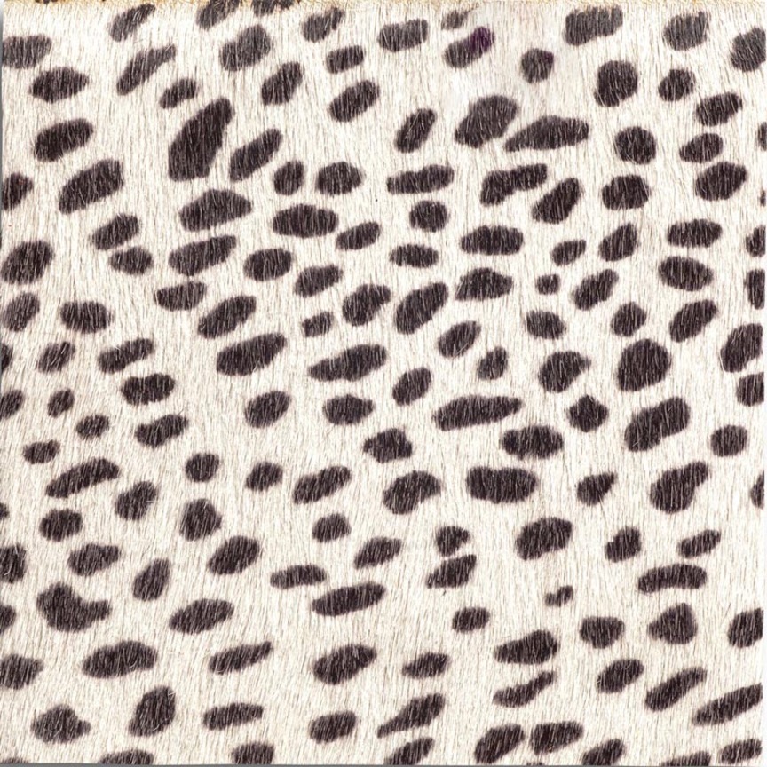 Detail image of Cavallini 111 Snow Leopard