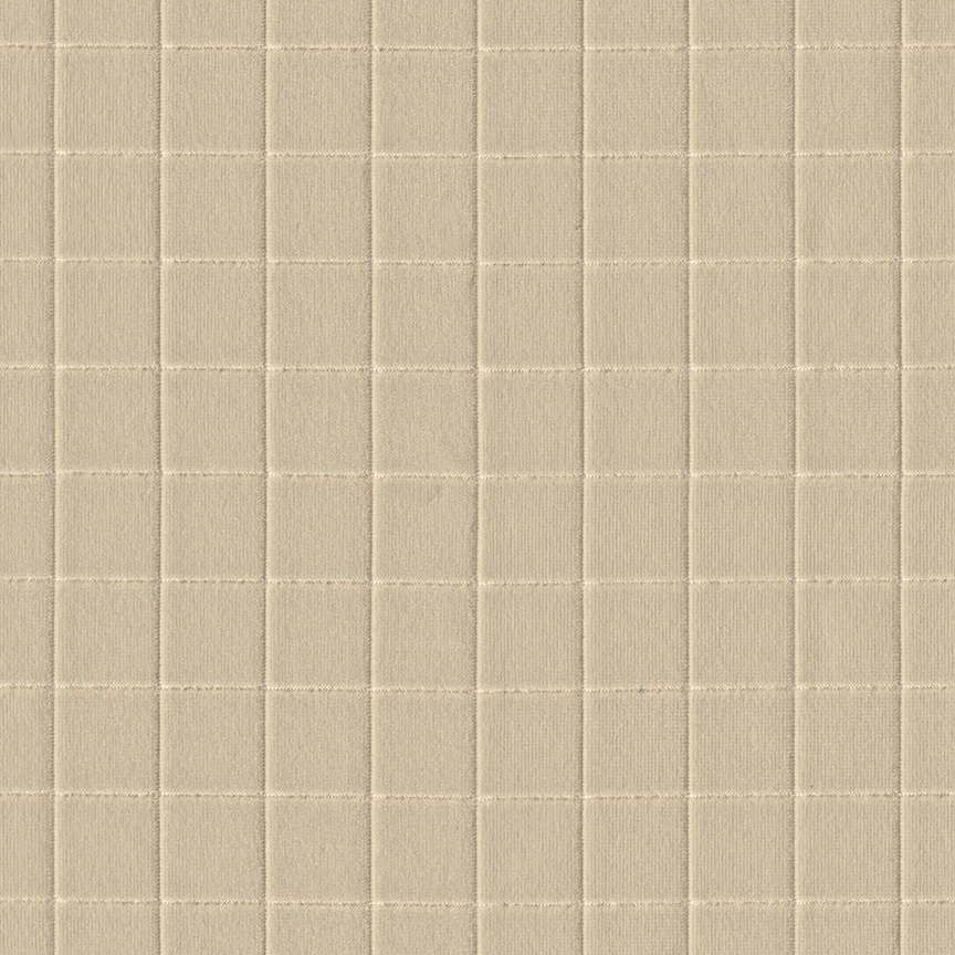 Detail image of Catalog 002 Cornsilk