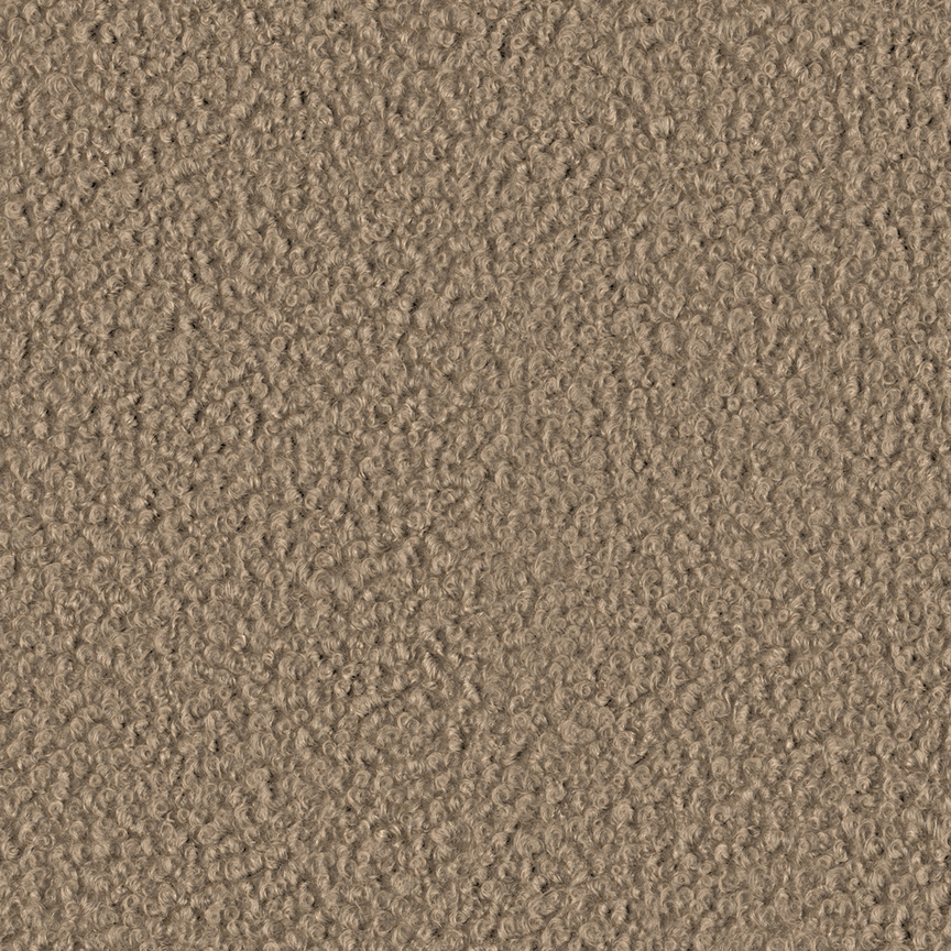 Detail image of Firth 003 Afternoon