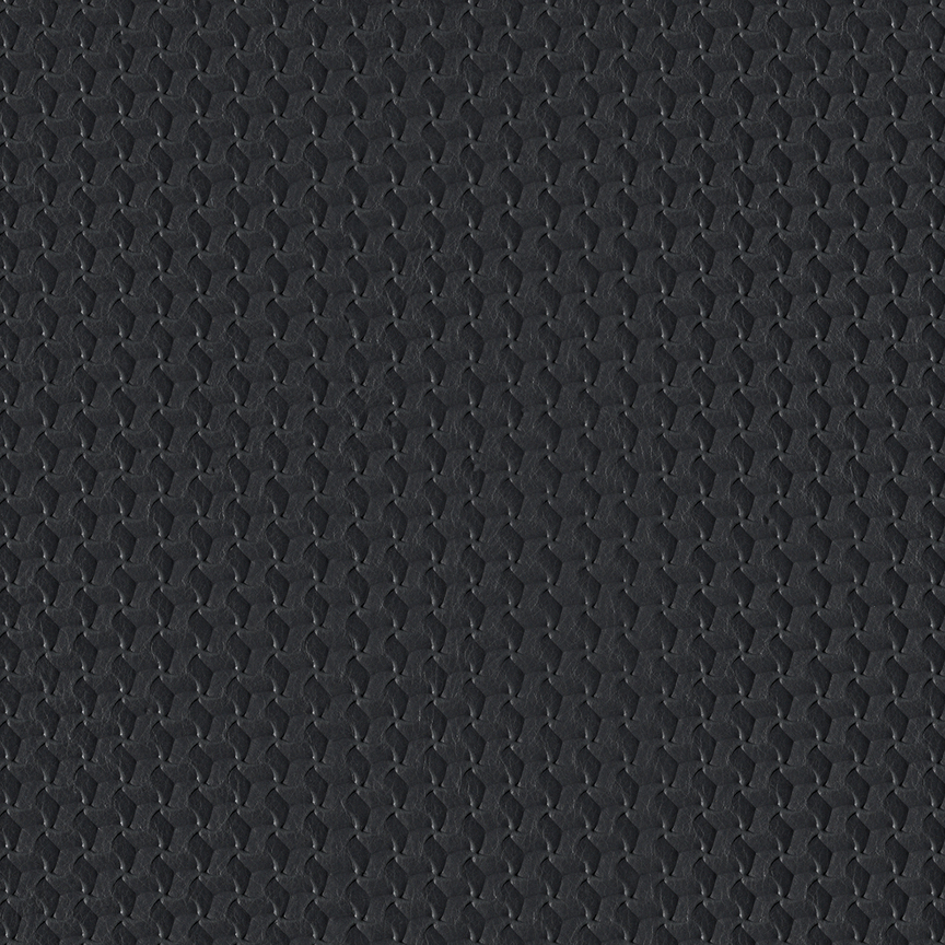 Detail image of Arc 010 Pronounced