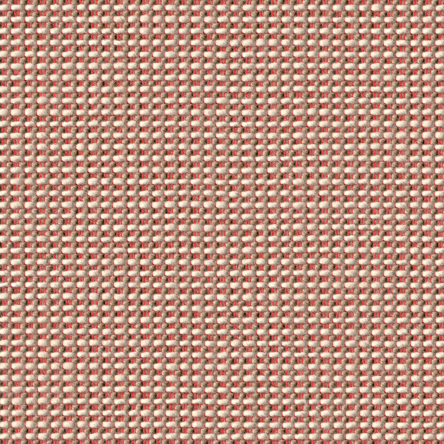 Detail image of Cato, 1961 054 Peony