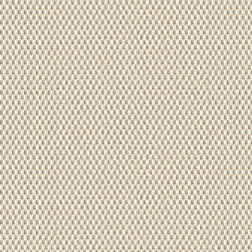 Detail image of Dover 003 Homily