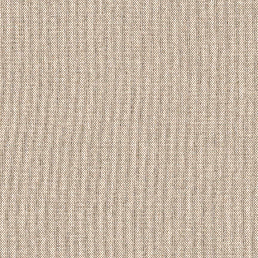 Detail image of Tenet 007 Scallop