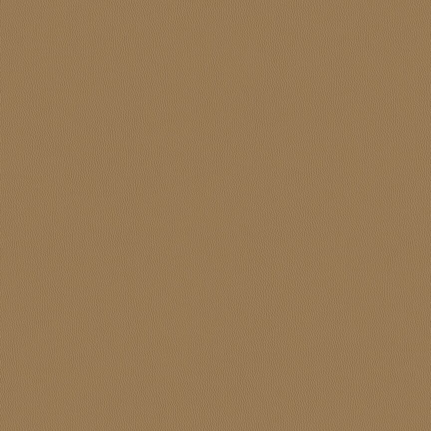 Detail image of Key 005 Parched