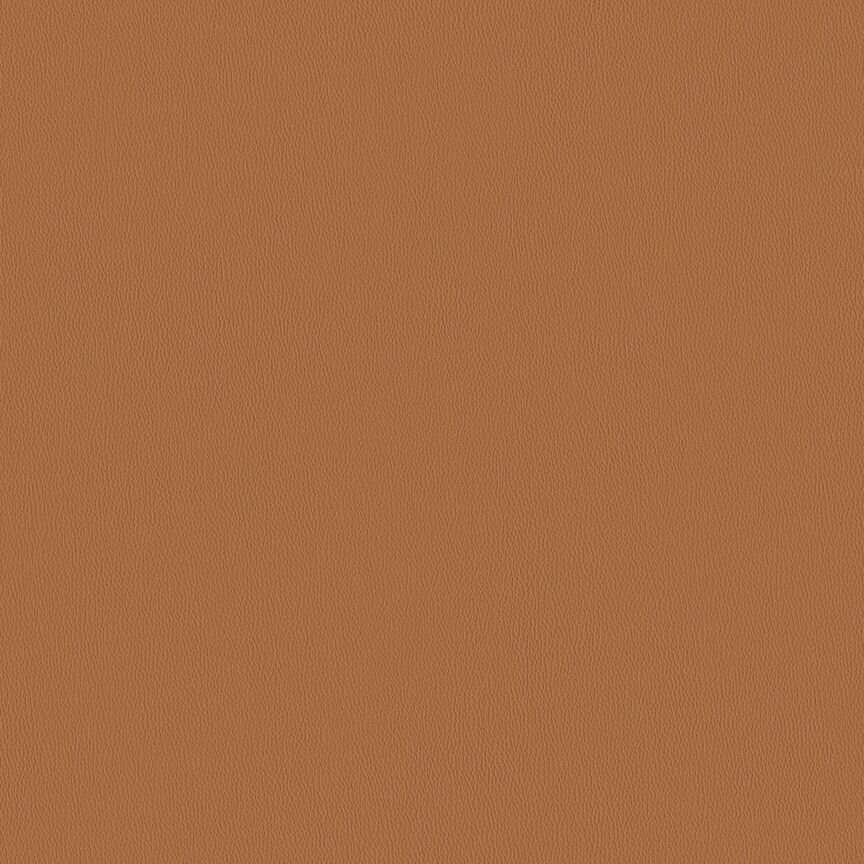 Detail image of Key 013 Startle