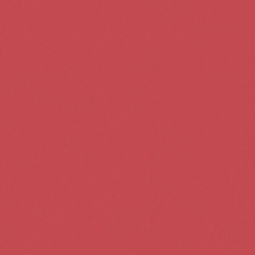 Detail image of Key 017 Raspberry