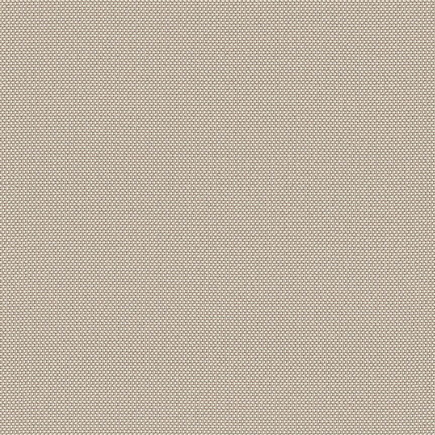 Detail image of Motto 006 Cowry