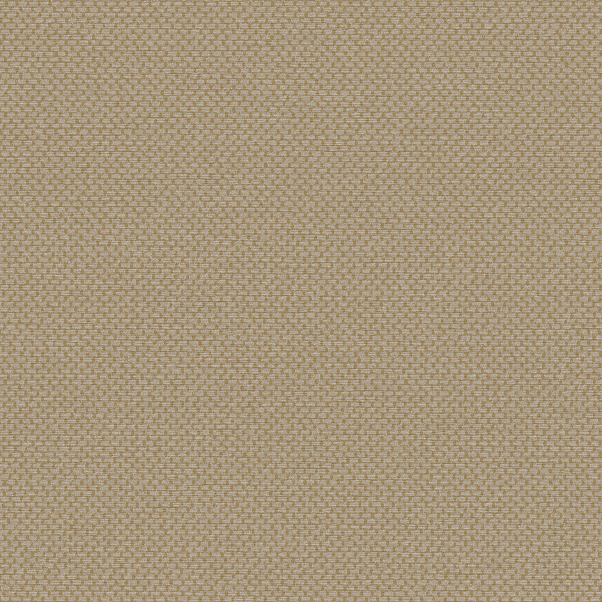 Detail image of Heirloom 002 Veery
