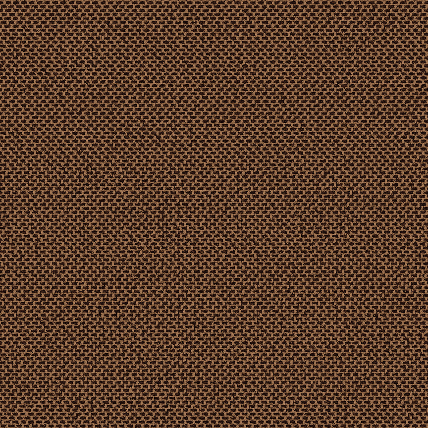 Detail image of Heirloom 008 Logwood