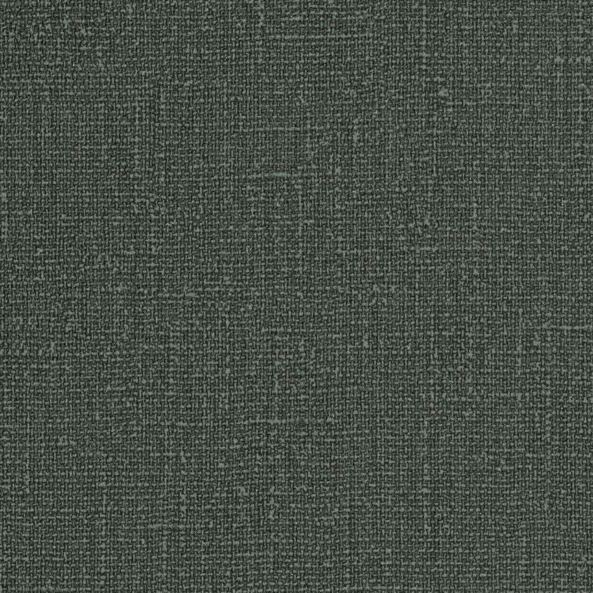 Detail image of Premise 018 Cimmerian