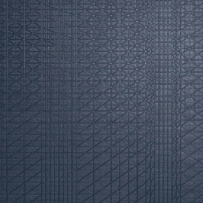 Detail image of Scalar 012 Inkblot