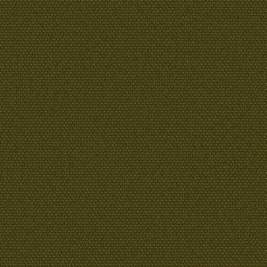 Detail image of Alp 013 Longleaf