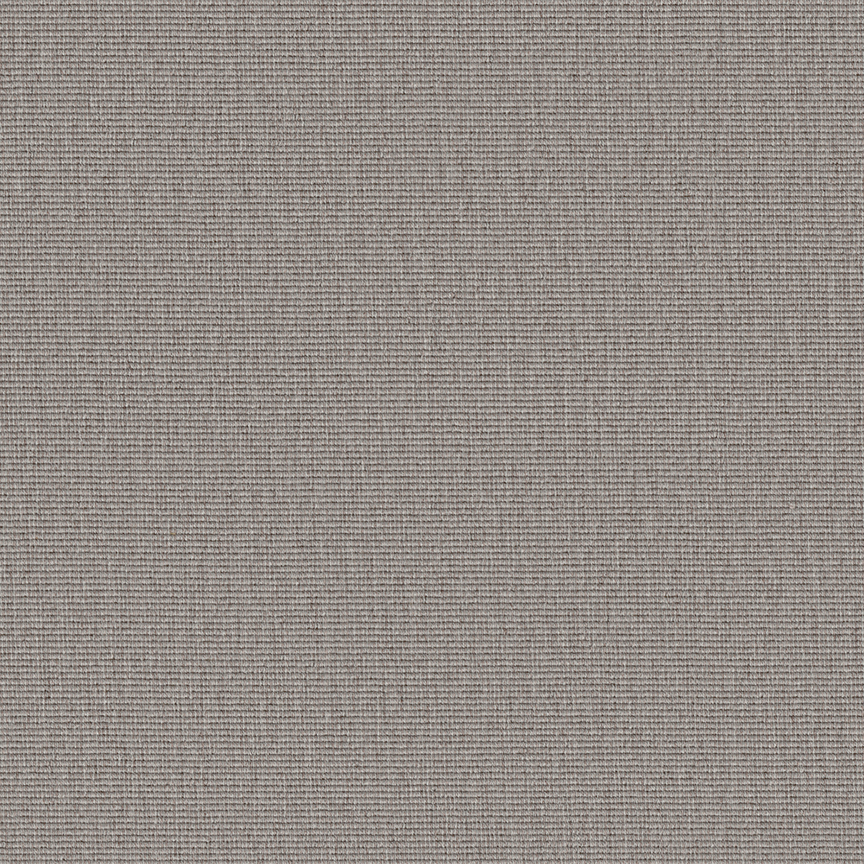 Detail image of Conifer 003 Quaint
