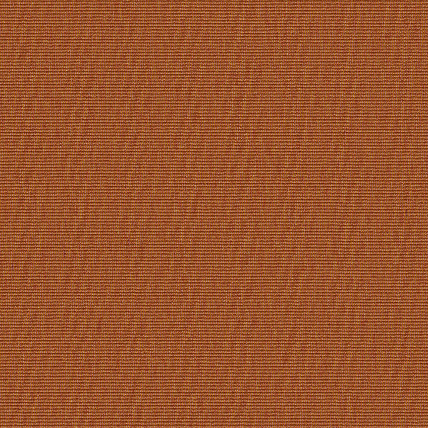 Detail image of Conifer 005 Cider