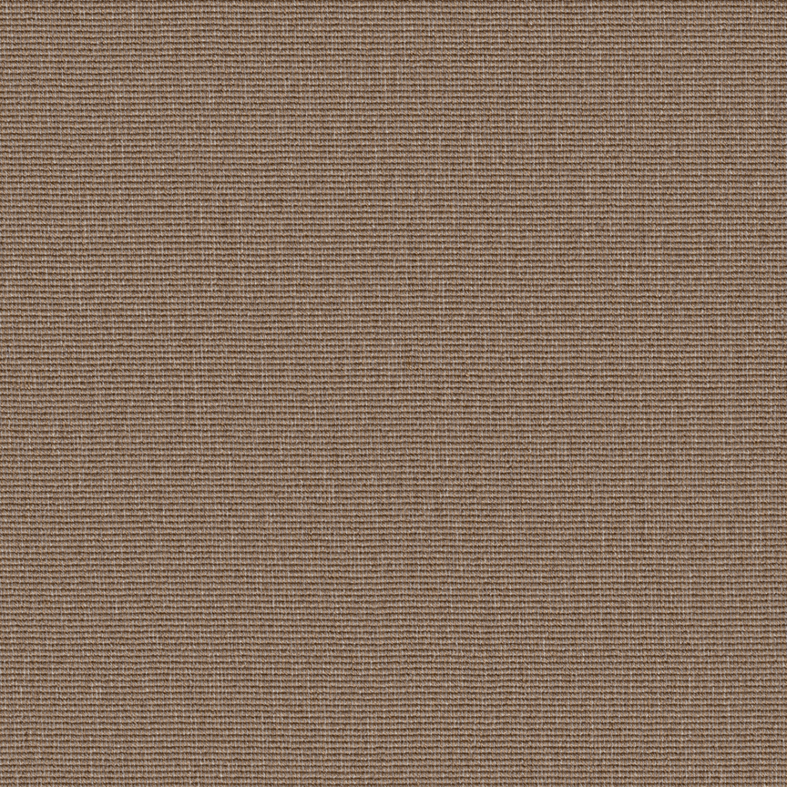 Detail image of Conifer 006 Gingerly