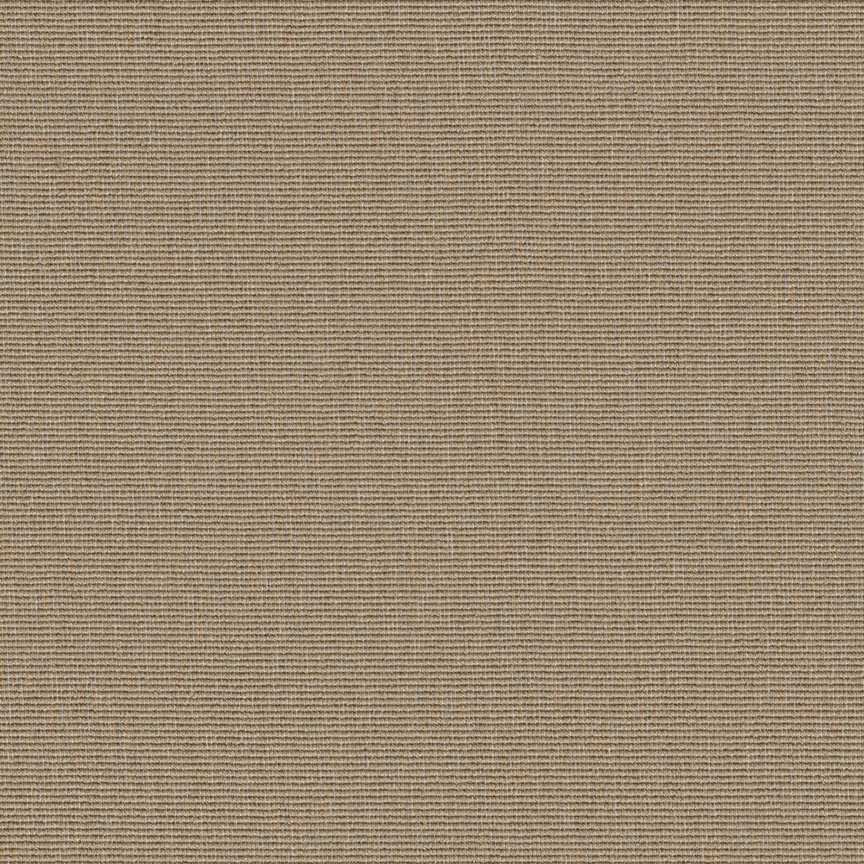 Detail image of Conifer 007 Blanch
