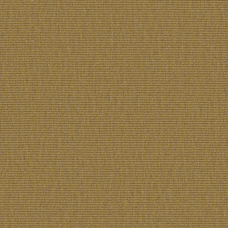 Detail image of Conifer 009 Vermeil