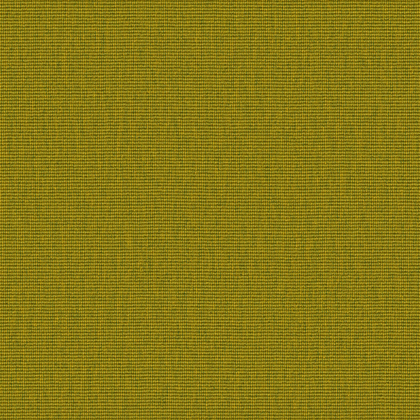 Detail image of Conifer 011 Tart