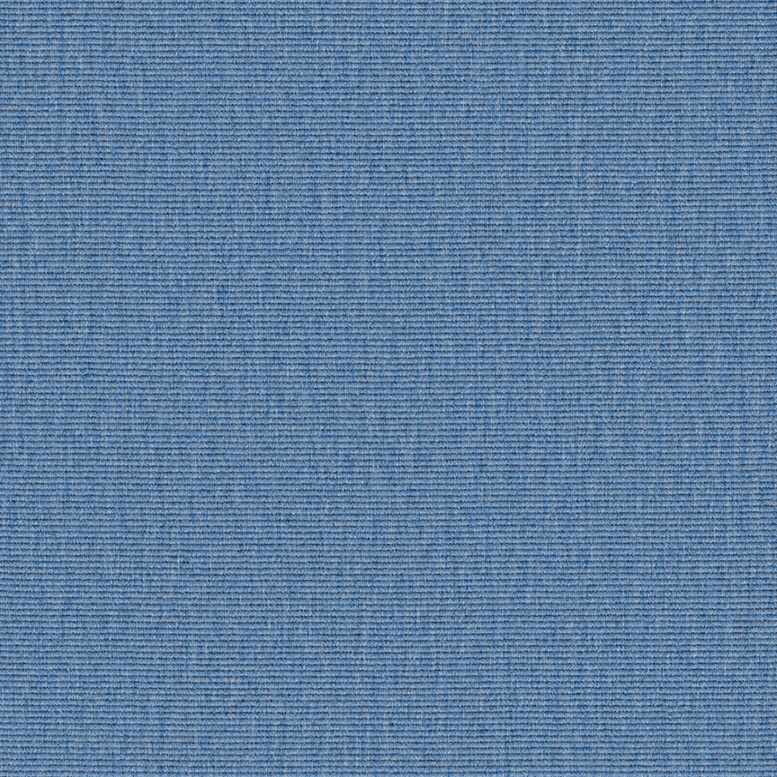Detail image of Conifer 015 Bluebell