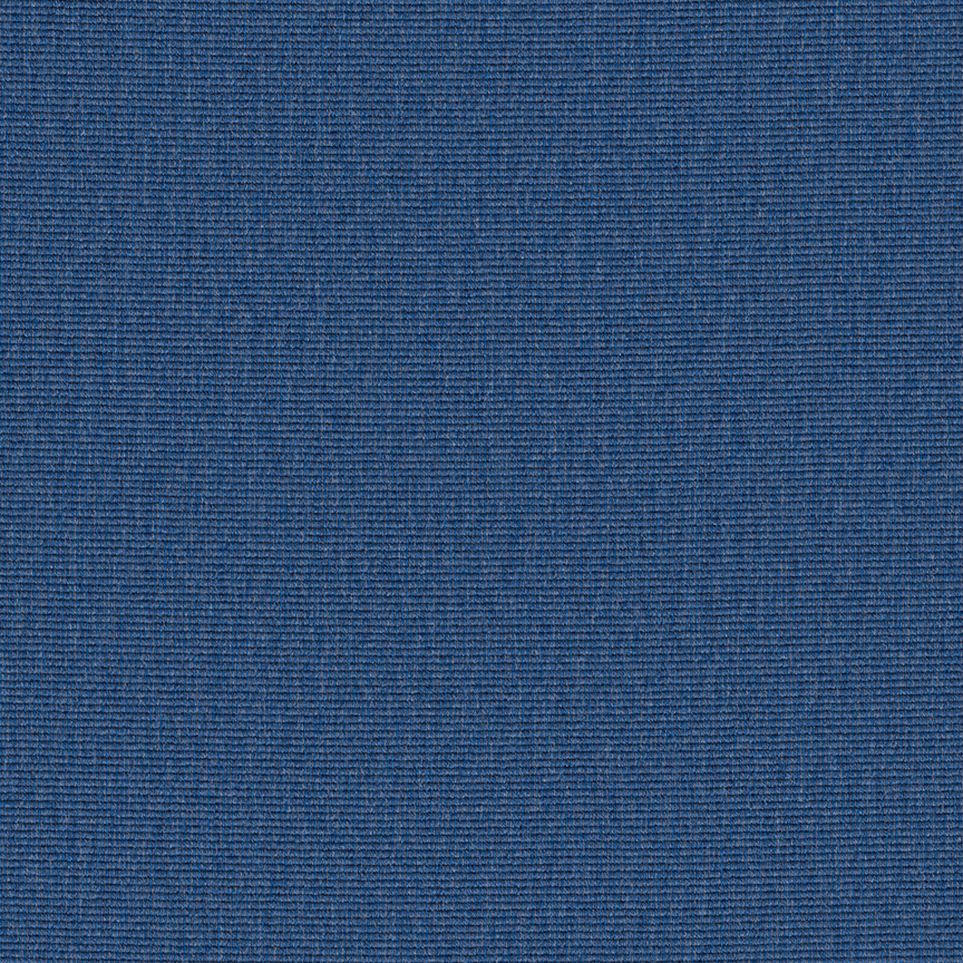 Detail image of Conifer 016 Caprice