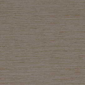 Poplar