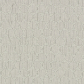 Hive