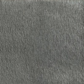 Cavallini
