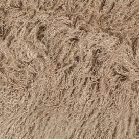 Mongolian Shearling