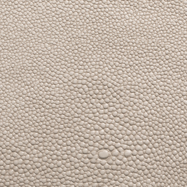 Shagreen