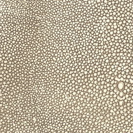 Shagreen