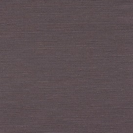 Silk Canvas