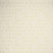 Thumbnail image of 001 Equivocal