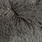 Thumbnail image of 004 Thunder