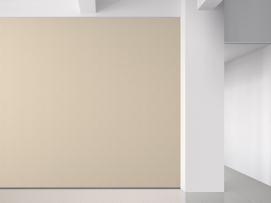 Install image of Flute 031 Popcorn